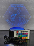 3D Globe Light Santa & Reindeer